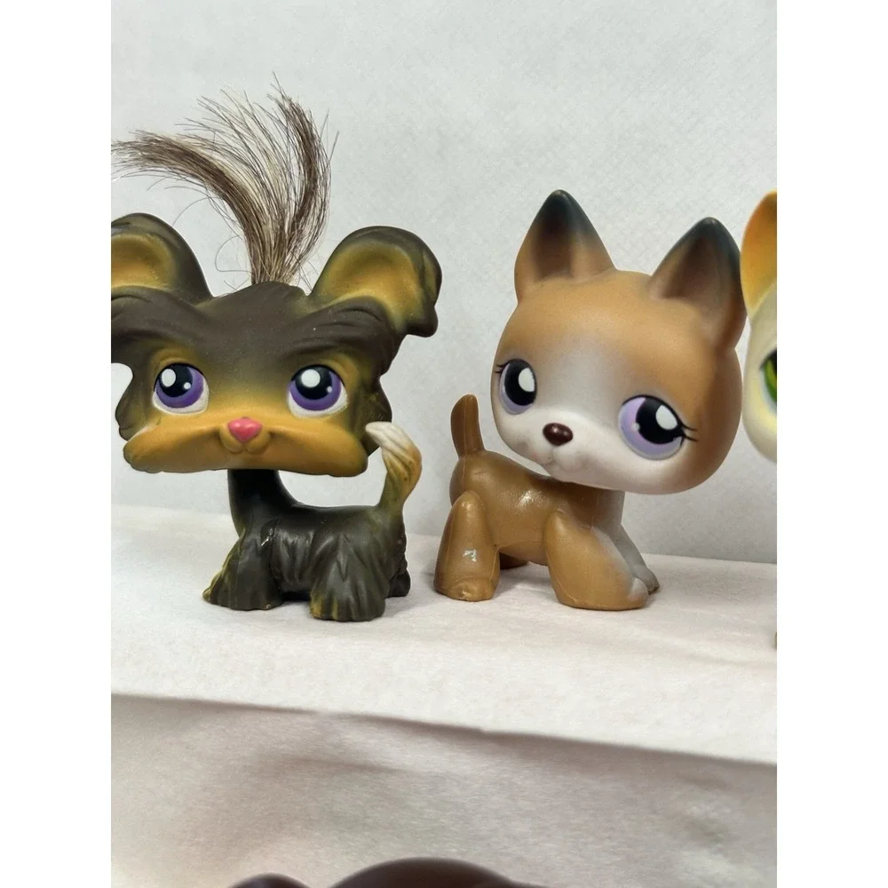 Littlest Pet Shop Lot Of 6 - 4 Rare German Shepherd Shitzu Yorkie Calico Collie‎